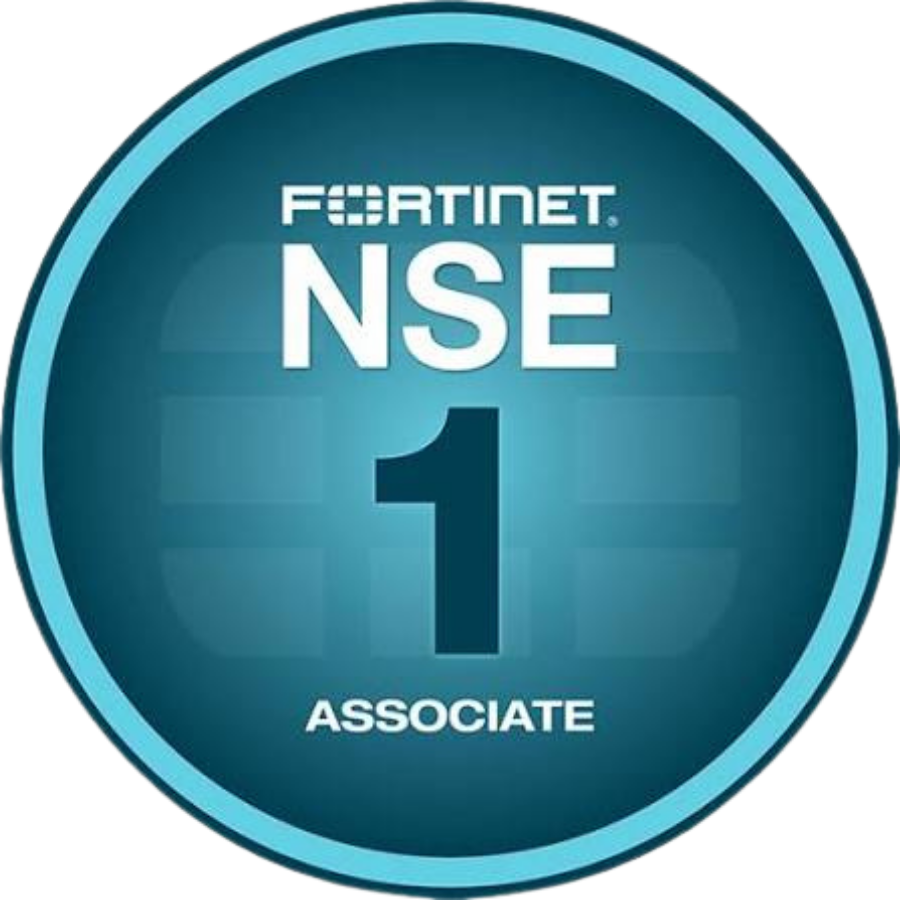 NSE 1